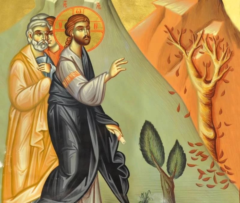 jesus-maudit-figuier