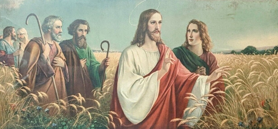 jesus-parabole-champ-ble
