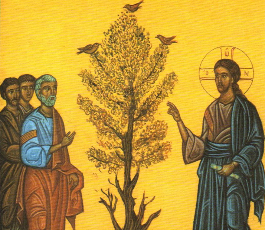 jesus-parabole-grain-moutarde