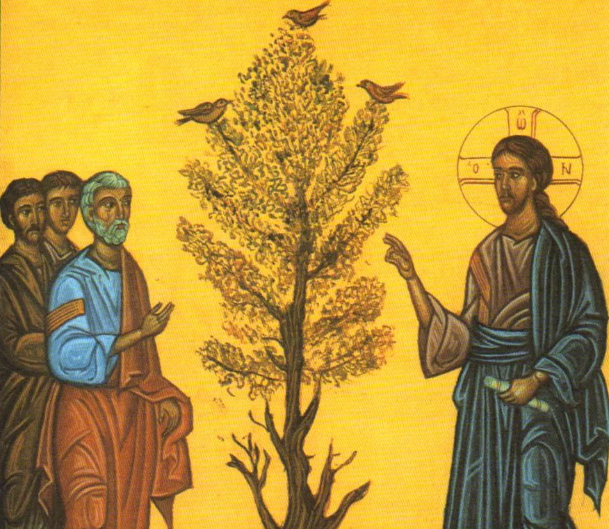 jesus-parabole-grain-moutarde